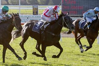 Nikita (NZ) and Showemup (NZ) the Big Winners in Warstep Stakes. Photo: Race Images, Christchurch.
